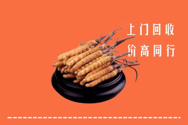 高价求购：镇安回收散虫草