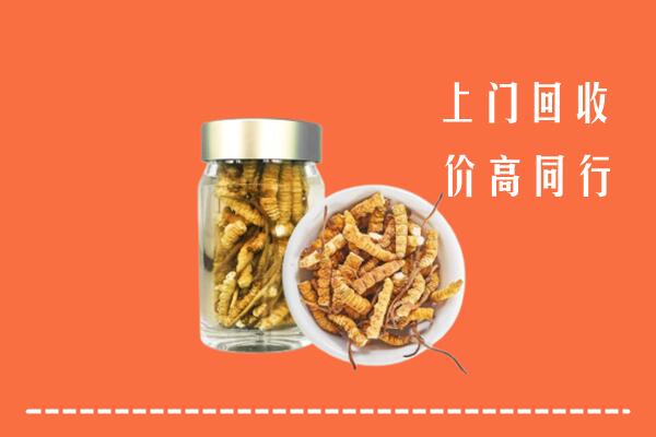 镇安回收冬虫夏草